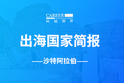 凯发K8GO GLOBAL | 沙特阿拉伯国家简报